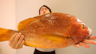 This might be the finest white fish in Kimagure Cook's history. The color of the entrail is amazing.