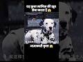 ये दुनिया का सबसे आज्ञाकारी कुत्ता हैं 😱 | #short #dog #movie #recap