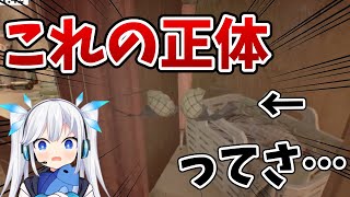 【 衝撃 】ゾイのブラジャーからとんでもない仮説を導き出す女神【 ツイリエル / Vtuber切り抜き 】