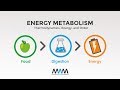 MWM 2.1: Thermodynamics, Energy, and Order