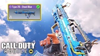 This type 25 skin has pay to win iron sight… (☢️ in Legendary Rank)