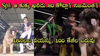 Bengaluru Man buys World's most costliest Dog 20Cr!: 100కోట్లు ఇచ్చినా ఆ కుక్కని అమ్మనని అన్నాడా!?