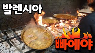 [스페인 발렌시아] 불타는 장작 위에서 요리하는 빠에야 | 해산물 빠에야를 먹어봤습니다 | 새끼 오징어 역시 별미 중에 별미입니다! | 발렌시아 맛집