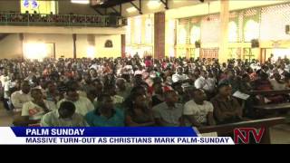 Massive turnout as Christians mark Palm Sunday