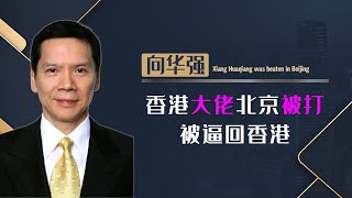 向华强在北京被白小航掌掴，白小航离京后，意外身亡原因不明【隐秘世家】