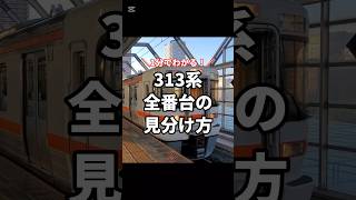 【1分でわかる！】313系の見分け方 #shorts #313系 #JR #おすすめ #fyp #鉄道 #電車