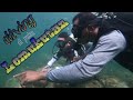 GoPro: diving on the island of Lemukutan ||  explore Lemukutan Island #gopro #diving #lemukutan