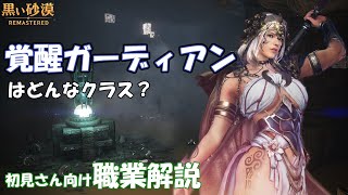 【黒い砂漠】覚醒ガーディアン -PvE解説- in ティティウム渓谷/ヒストリア廃墟【職業解説】