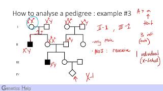 Pedigree Analysis 101 With Practice Problems