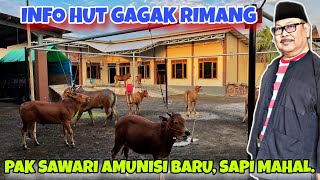 INFO LOMBA KERAPAN SAPI HUT GAGAK RIMANG || EVENT AKBAR JAWA MADURA,PAK SAWARI SIAP MENYAMBUT TAMU