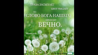 Христианское пение.Бирюков Дмитрий.Сборник песен - Будет встреча