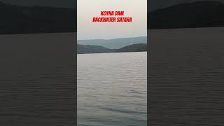 Koyna backwater #shivsagar #shivsagarguide #koynadam #koyna #koynanagar #viralreels #viralshorts