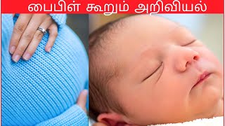 பைபிள் கூறும் அறிவியல் | சிறந்த குழந்தைகளை பெற்றெடுக்க வேண்டுமா???| Bro. Peter Paul. S