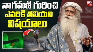 నాగమణి గురించి ఎవరికి తెలియని విషయాలు | Mystery Behind Nagamani | Sadhguru Telugu | BIG TV