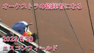 つば九郎、オーケストラの指揮者になる in 北海道エスコンフィールド