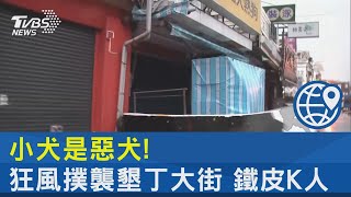 小犬是惡犬! 狂風撲襲墾丁大街 鐵皮K人｜TVBS新聞 @internationalNewsplus