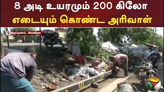 8 அடி உயரமும் 200 கிலோ எடையும் கொண்ட அரிவாள்