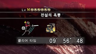 Squid Hunter I [한손검] MHW:IB M★6 흑룡 밀라보레아스 토벌 (전설의 흑룡) Fatalis SnS Solo