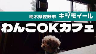 わんこに優しいウマい栃木県佐野市のカフェ キジモイール｜犬okカフェ｜INUVAN LIFESTYLE