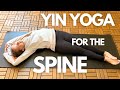 Complete Yin Yoga for Spinal Health: Unlocking 7 Degrees of Freedom | 1 Hour