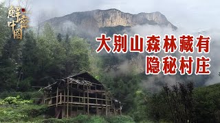 大别山森林里的隐秘村庄，经常夜里只能点蜡烛，村民生活十分简陋，连养的牛都自己跑了【亮光】