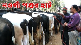 989- নওগাঁ গ্রামীন হাট বাজার,গরু ছাগল হাঁস মুরগী সবকিছু -র.ই মানিক R.I.Manik.Chitrapuri Krishichitra