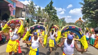 சீர்காழி அருகே வைத்தீஸ்வரன் கோவிலில் தைப்பூச விழா பக்தர்கள் காவடி எடுத்து நேர்த்திக்கடன் செலுத்தினர்