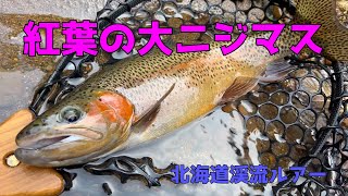 イワナ狙いのつもりが思いがけず最高のニジマスを釣りました！【北海道渓流ルアー】