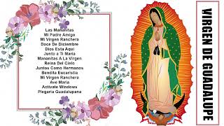 Canciones A La Virgen De Guadalupe💐La Virgen De Guadalupe 🙏💐Mariachi Cantares De Mexico