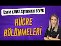 PÜF NOKTALARLA HÜCRE BÖLÜNMELERİ | Seda Hoca Biyoloji #tyt2023