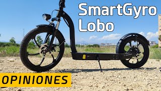 Patinete Smartgyro Lobo | Opiniones \u0026 Análisis ✅ El hibrido entre bicicleta y patinete