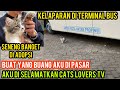 Allahu Akbar Kucing Cantik Menangis Di Buang Si Pasar Kakinya Pincang Seneng Banget Saat Di Adopsi.!