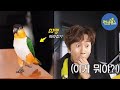 ‘순간포착’ EDM 댄스를 추는 앵무새가 있다?! (ft. 박하나 반려동물) 《Running Man》런닝맨 EP488