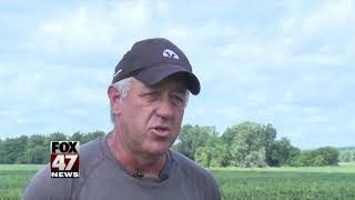 2. Japanese buyers visit Charlotte soybean farm