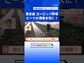 ビーツが渦巻き状に？黄色いニンジンはサツマイモのように甘い！？東京・立川「ヨーロッパ野菜」を作る農家から【すたすた中継】｜tbs news dig shorts