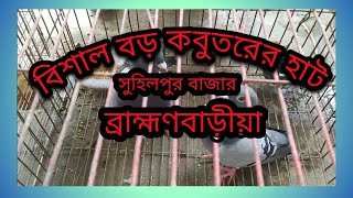 ব্রাহ্মণবাড়ীয়ার কবুতরের হাট|kobutor hat in Brahmanbaria| সুহিলপুর বাজার।