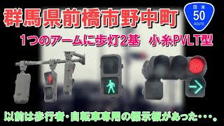 【信号機撮影#431】群馬県前橋市野中町 1つのアームに歩灯2基