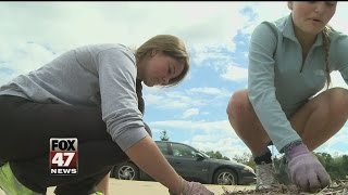 EL Seniors Cleaning Up for a New Image after Vandalism