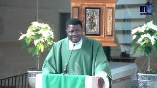 ✝️Homélie l Samedi, 4ème Semaine du T. O. l 08-02-2025 | P. Modeste SÉLOUKOU BÉDIÉ, FM ✝️