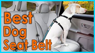 Best Dog Seat Belt 2021 | Top 5 Dog Seat Belt Review