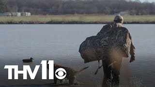 How does Arkansas weather impact duck season? | Outdoor Report