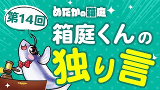 めだかの箱庭 第13回箱庭くんの独り言 風呂が沸くまで