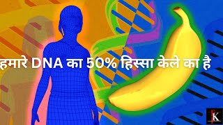 क्या तुम्हें पता था? जीवन के 30 महानतम रहस्यों |आश्चर्यचकित होने के लिए तैयार रहें  Facts About Life