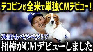 「さすが大谷の相棒だ！」愛犬デコピンがついに単独CMデビュー！？しかしとんでもないサプライズにツッコミ殺到！ｗ大谷の相棒・デコピンフィーバーが止まらない異常事態に！【海外の反応大谷翔平デコピン