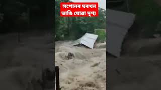 Dream House Destroyed
