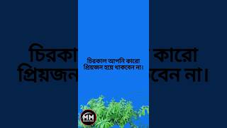 চিরকাল আপনি কারো প্রিয়জন হয়ে থাকবেন না 🤩🤩 #youtubeshorts #shorts #motivational #video #bangla