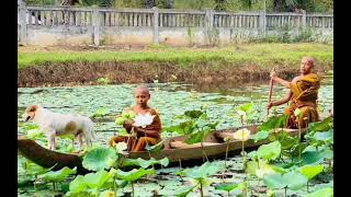 ទេសភាពនៅក្នុង វត្តសិរិសាគរ ដូនស្តើង #khmer #cambodia #phnompenh #challenge #temple #វត្ត