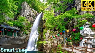 홍룡사 | 홍룡폭포 | 드론영상 | Hongryongsa Temple Falls, Korea