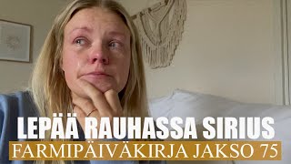 FARMIPÄIVÄKIRJA JAKSO 75: Lepää rauhassa Sirius