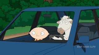 Cutaway Compilation Season 16 - Family Guy (Part 2)